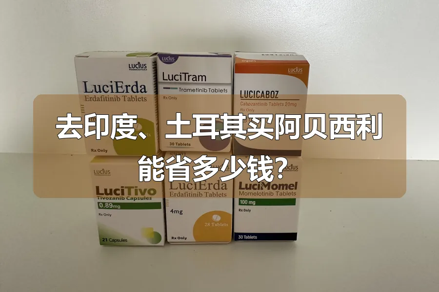 去印度、土耳其买阿贝西利能省多少钱？