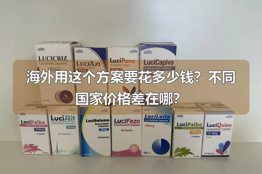 海外用这个方案要花多少钱?不同国家价格差在哪?